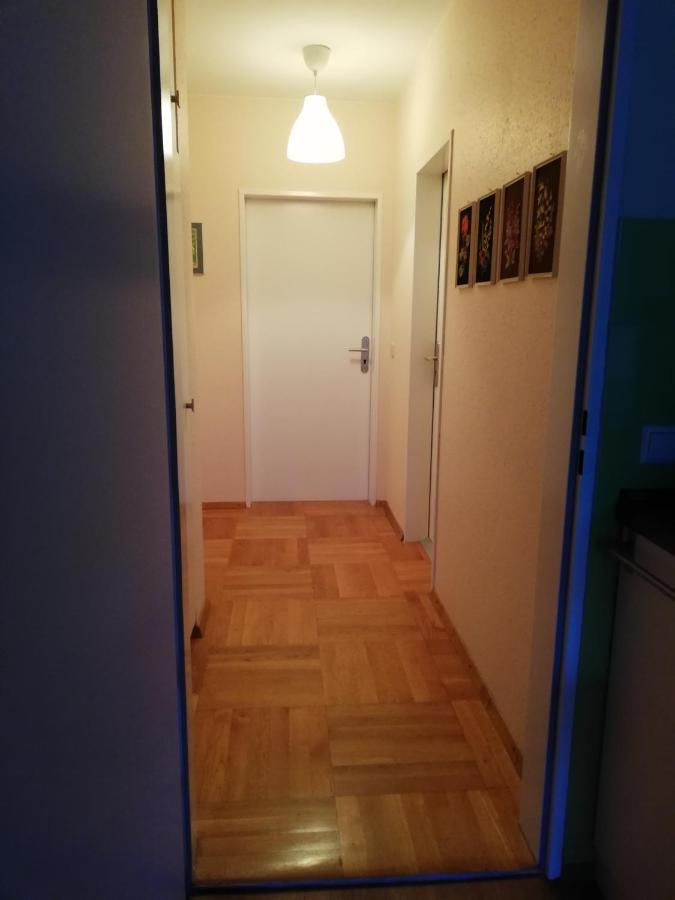 Beste Lage Am Bodensee, Fewo Haemmerle -Blau Konstanz Exterior foto